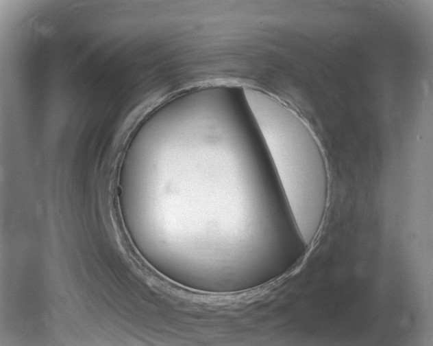 X0000082680001200701260941