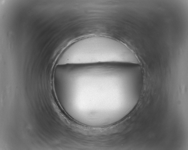 X0000082680002200701260941