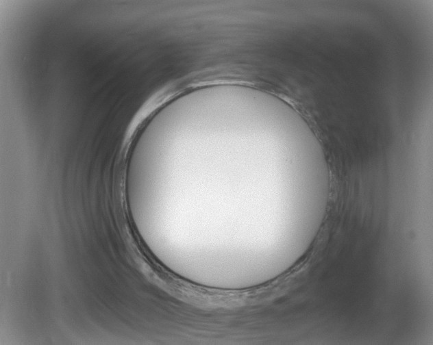 X0000082680004200701260941