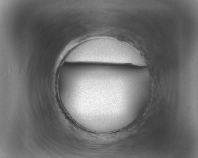 X0000082680006200701260940