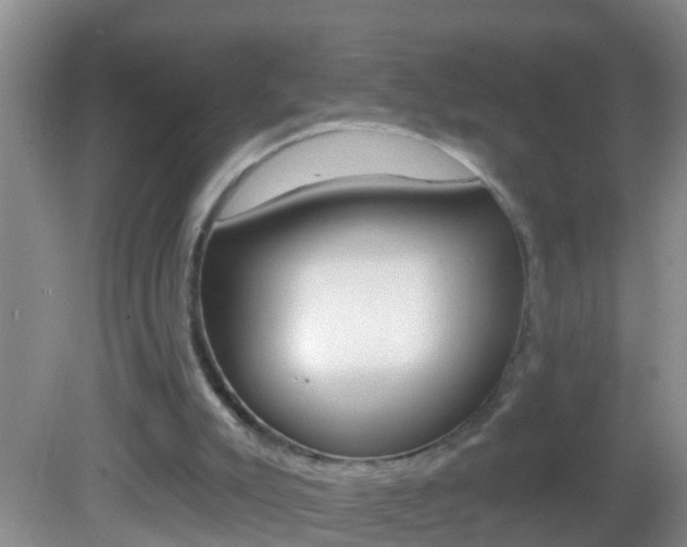 X0000082680007200701260940
