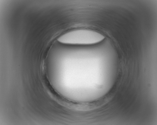 X0000082680024200701260940