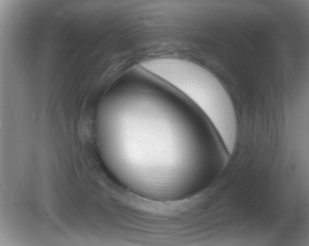 X0000082680035200701260940