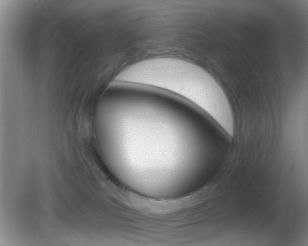 X0000082680039200701260940