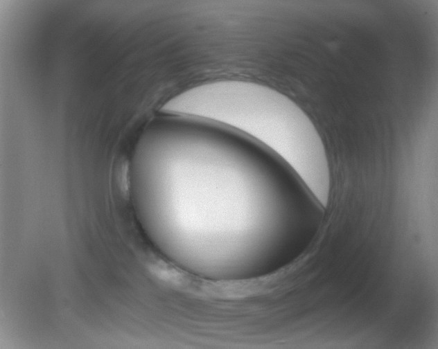 X0000082680041200701260940