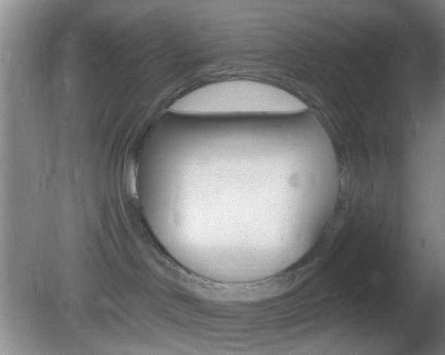 X0000082680046200701260940