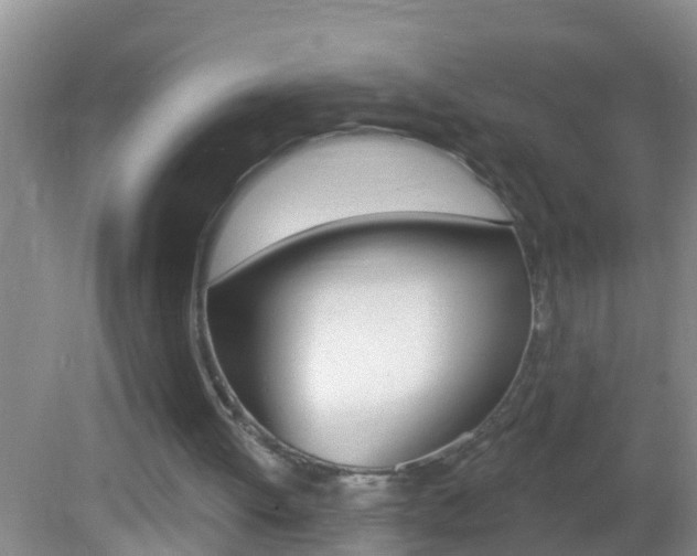 X0000082680052200701260939