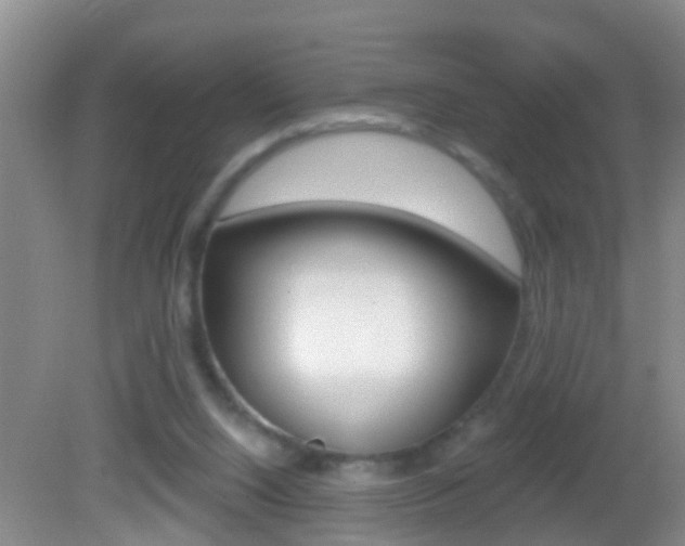 X0000082680064200701260939