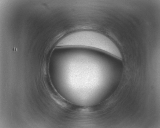 X0000082680068200701260939