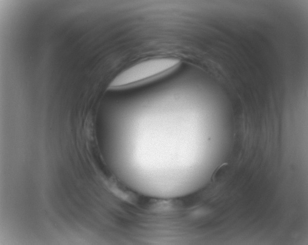 X0000082680083200701260940