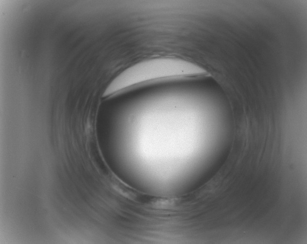 X0000082680084200701260940