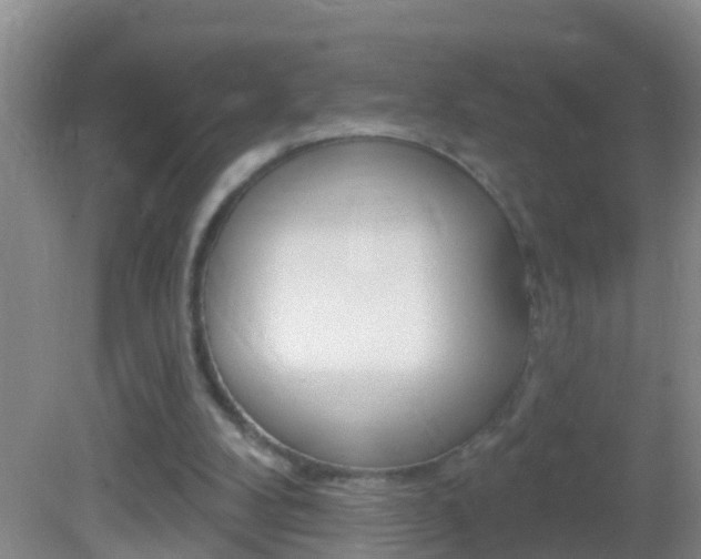 X0000082680104200701260939