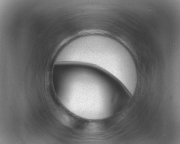 X0000082680111200701260939