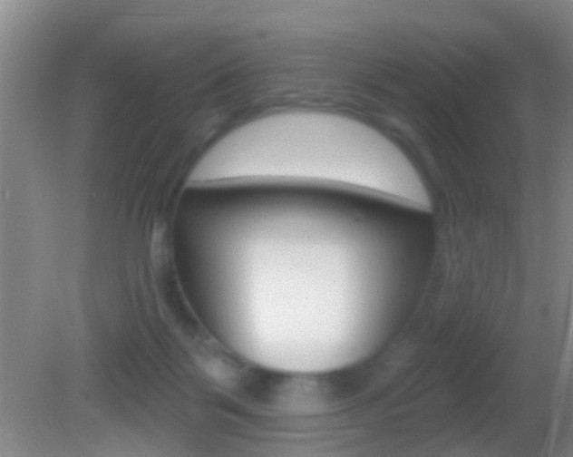 X0000082680123200701260939