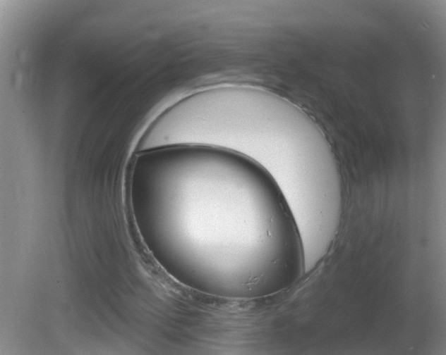 X0000082680148200701260937