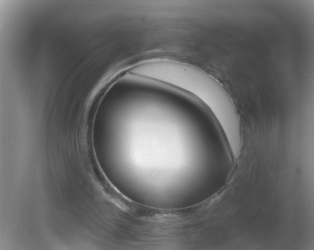 X0000082680150200701260937