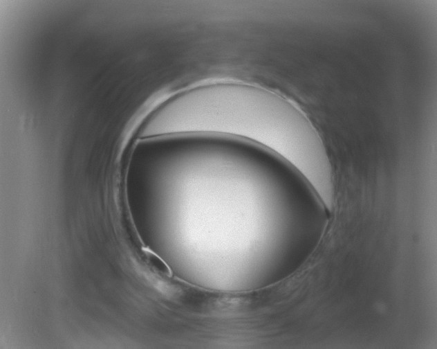 X0000082680152200701260937