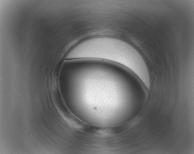 X0000082680164200701260938