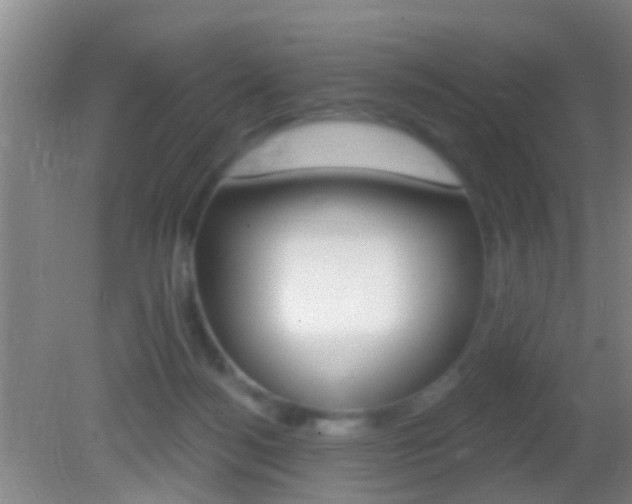 X0000082680172200701260938