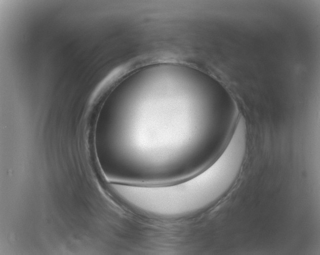 X0000082680197200701260937
