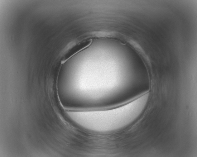 X0000082680201200701260937