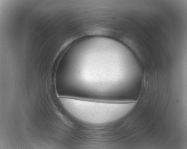 X0000082680204200701260937