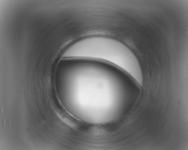 X0000082680207200701260937