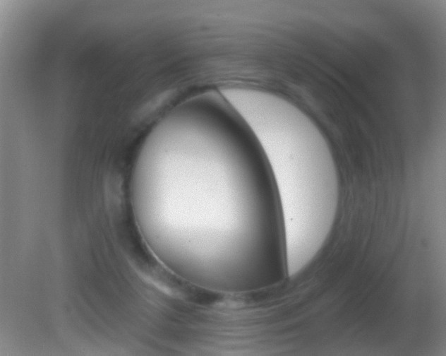X0000082680211200701260937