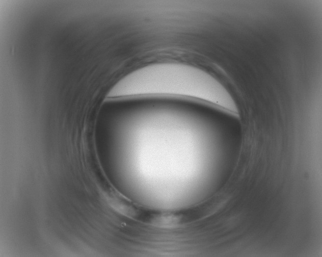 X0000082680217200701260937