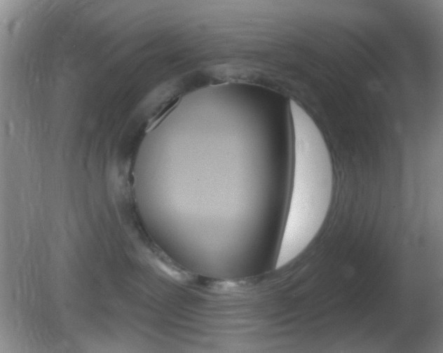 X0000082680239200701260937