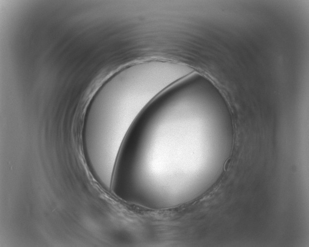 X0000082680241200701260936