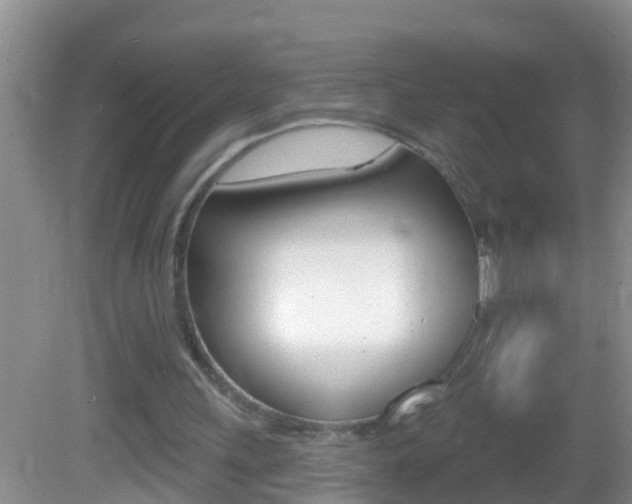 X0000082680243200701260936