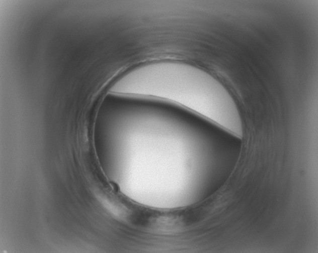 X0000082680251200701260936