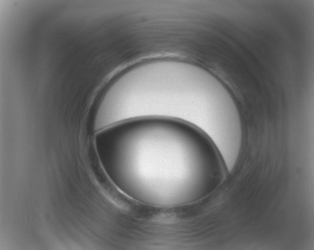 X0000082680252200701260936