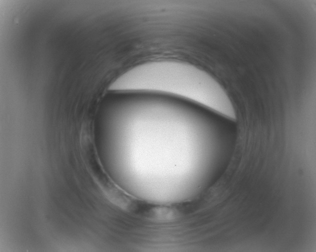 X0000082680272200701260936