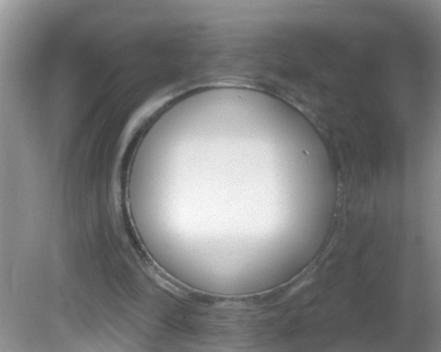 X0000082680294200701260936