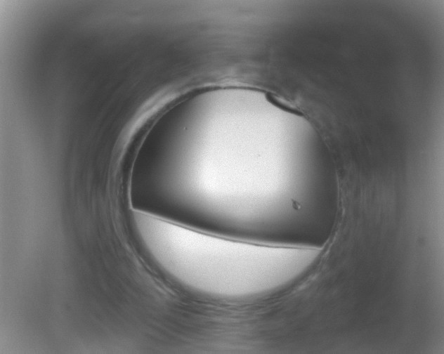 X0000082680295200701260936