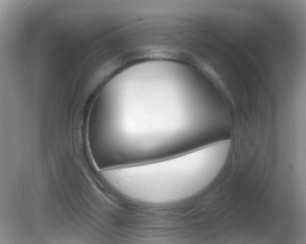 X0000082680299200701260936