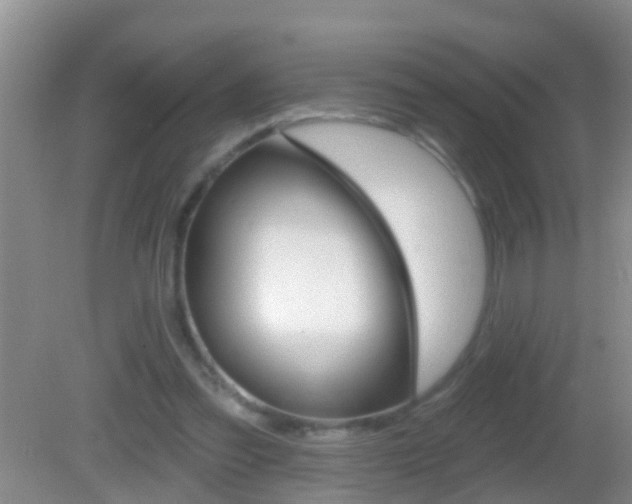 X0000082680301200701260936