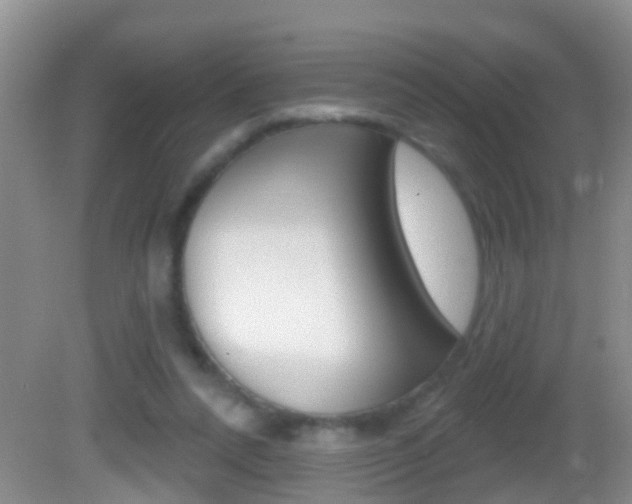 X0000082680304200701260935