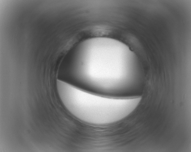 X0000082680315200701260935