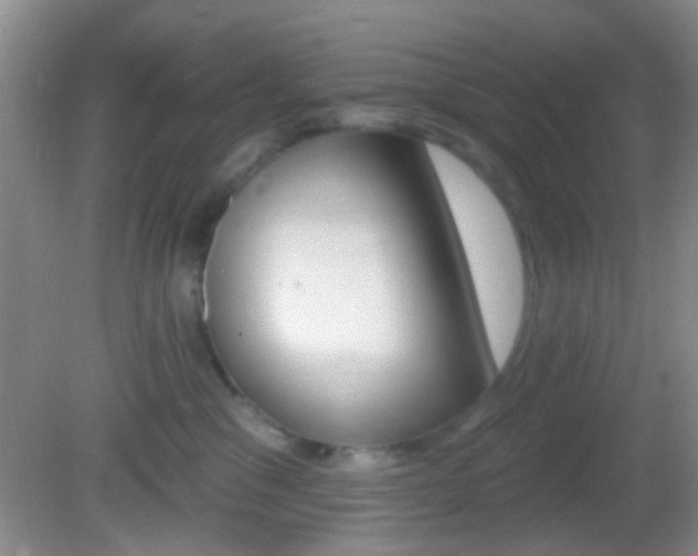 X0000082680329200701260935