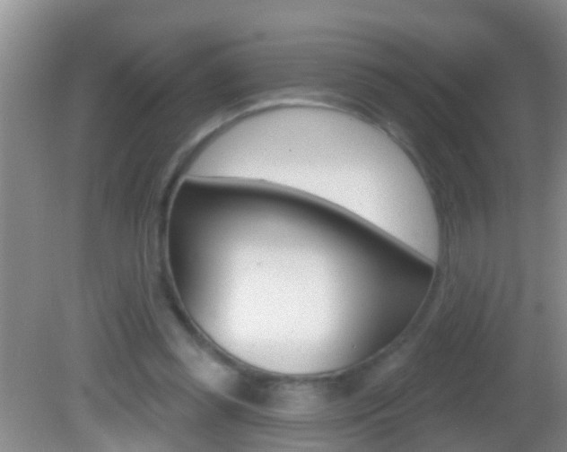X0000082680349200701260934