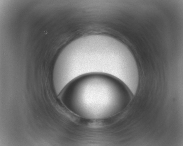 X0000082680362200701260935