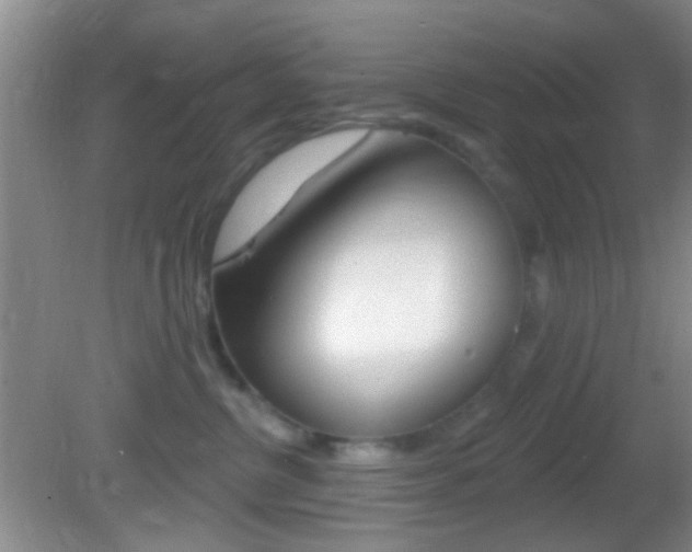 X0000082680380200701260935