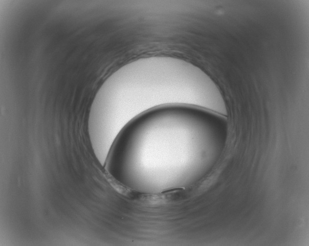 X0000082680384200701260935