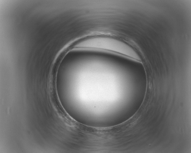 X0000082680388200701260934