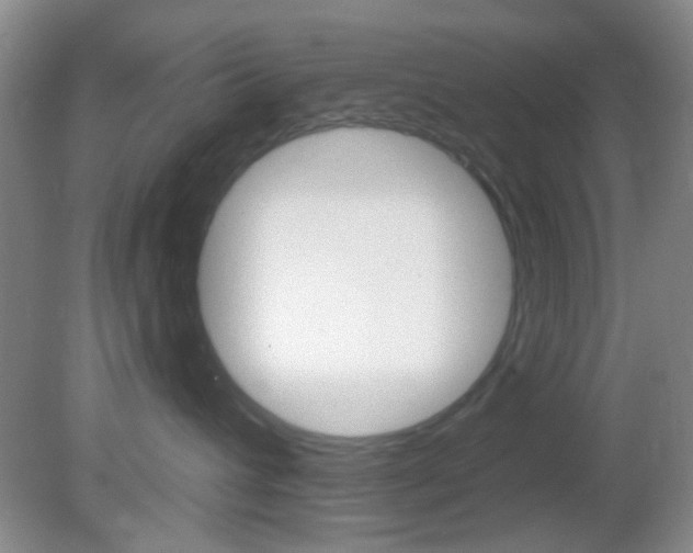 X0000082680432200701260933