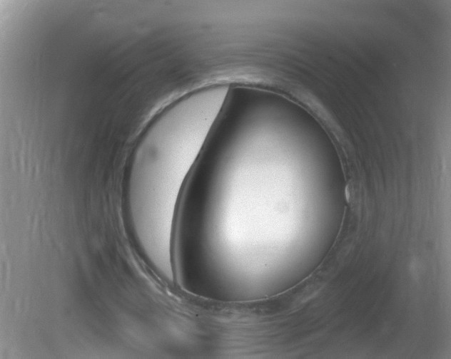 X0000082680434200701260932