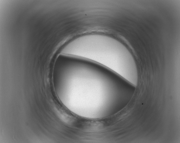 X0000082680443200701260933